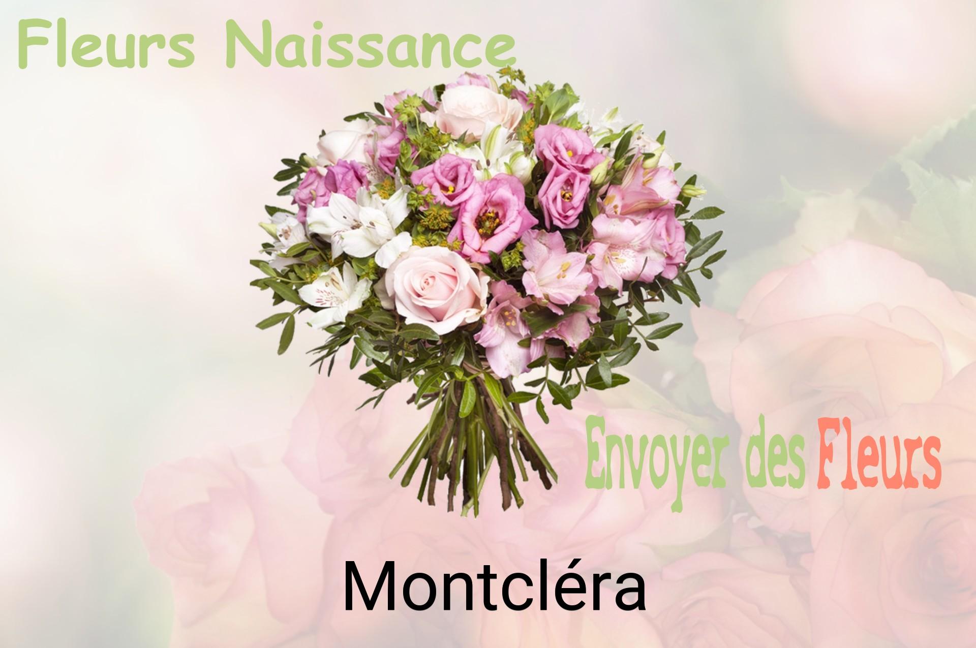 Bouquet de fleurs de naissance livré à Montcléra